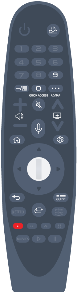 Magic Remote